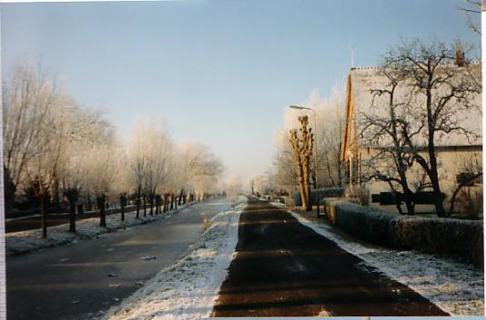 straatkant winter